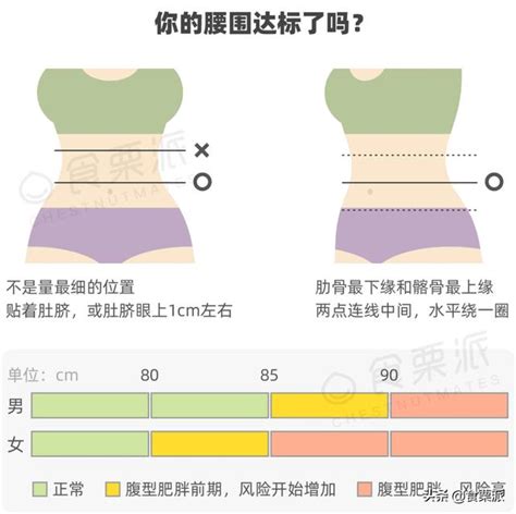 腰圍計算方式|腰圍標準女生、男生要多少才合理？腰圍怎麼量？超過。